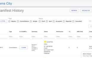 Customs City screenshot 1