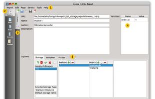 Report editor module