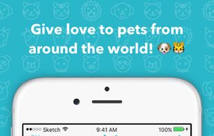 Cutesy - The cutest pets! screenshot 1