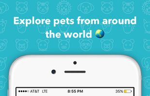 Cutesy - The cutest pets! screenshot 1