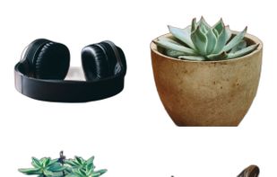 A batch of product photos, all cleaned and sized to match.