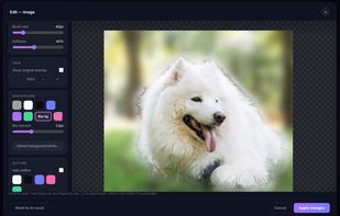 Beyond a plain cutout, you can blur the original background instead of removing it completely — adjustable blur strength for a natural depth-of-field effect.