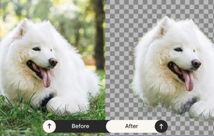 Before and after: the AI automatically detects and removes the background, leaving a clean transparent PNG ready to download.