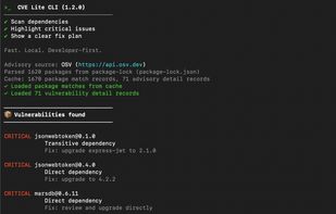 CVE Lite CLI screenshot 1