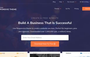 CyberChimps screenshot 1