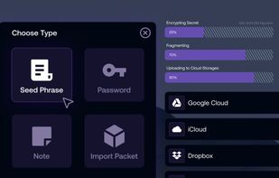Choosing type of data to be secured - Option of securing seed phrases, general passwords and notes