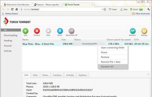 Built-in Torrent client