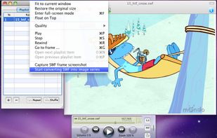 SWF & FLV Player screenshot 1