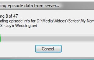 EpNamer screenshot 2