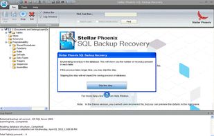 Stellar Backup Extractor for MS SQL screenshot 2