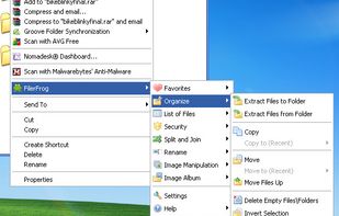 FilerFrog screenshot 1