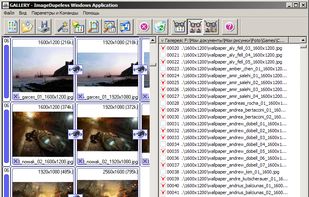 ImageDupeless screenshot 1