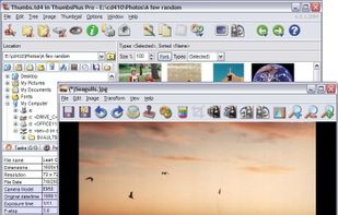 ThumbsPlus screenshot 1