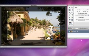 Cropping an image in Acorn