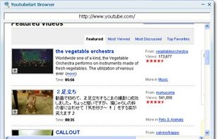 YouTubeGet screenshot 1