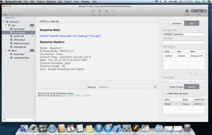 Debug The Api screenshot 2
