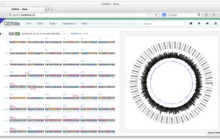 GENtle V2 screenshot 1