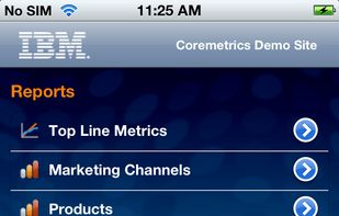 IBM Digital Analytics screenshot 1
