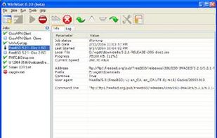 Main window and 'Job Info' tab