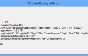 Windows App Boss screenshot 2