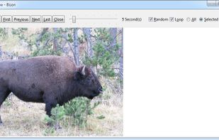 Vault 3 screenshot 2