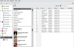 Banshee screenshot 1