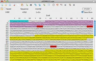 Highlights and draws graphic maps using feature annotations from genbank and embl files