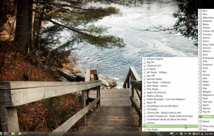Great Little Radio Player screenshot 2