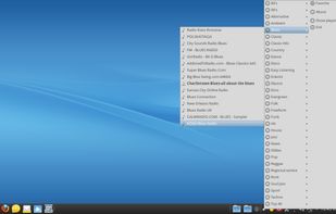 Great Little Radio Player screenshot 3