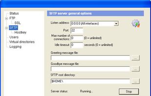 FreeFTPd screenshot 1