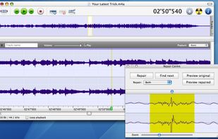 Amadeus Pro screenshot 1