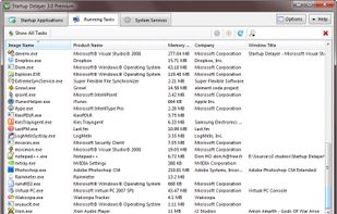Startup Delayer screenshot 1