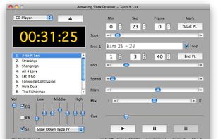 Amazing Slow Downer screenshot 1