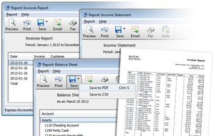 Express Accounts Accounting Software - Generate Reports