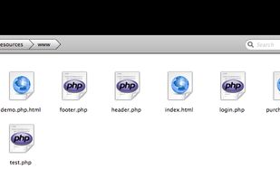 File Listing with Small Icons