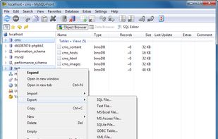 MySQL-Front screenshot 1
