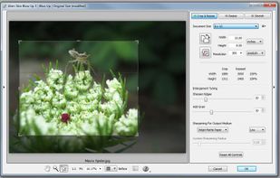 Alien Skin Blow Up screenshot 1
