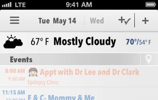 Pocket Informant screenshot 1
