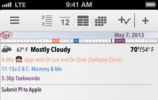 Pocket Informant screenshot 1