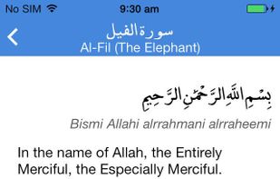 Last Ten Surahs screenshot 2