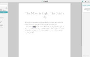 Note: the "artifact" is to censor a word and is NOT a part of the program's function; this was added in after the screenshot was taken.