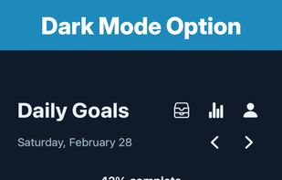 Choose between light and dark mode options