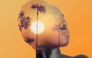 Daily Quotes Maker screenshot 2