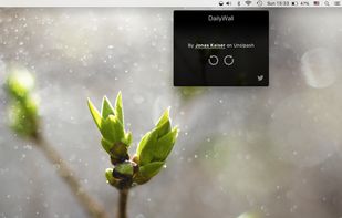 DailyWall screenshot 1