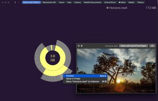 Dynamic functions like preview or show in finder make it easy to distinguish files.