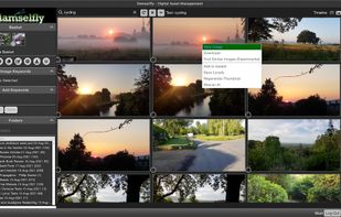 Damselfly screenshot 1