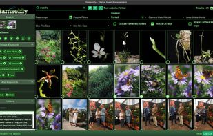 Damselfly screenshot 1