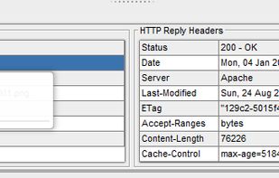 As much information as possible is displayed by Darcy Ripper in a clean manner, without additional useless dialogs and windows.