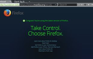 Dark Background and Light Text screenshot 1