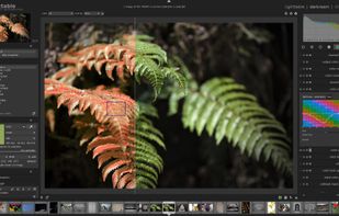 Darktable’s darkroom mode with an image opened